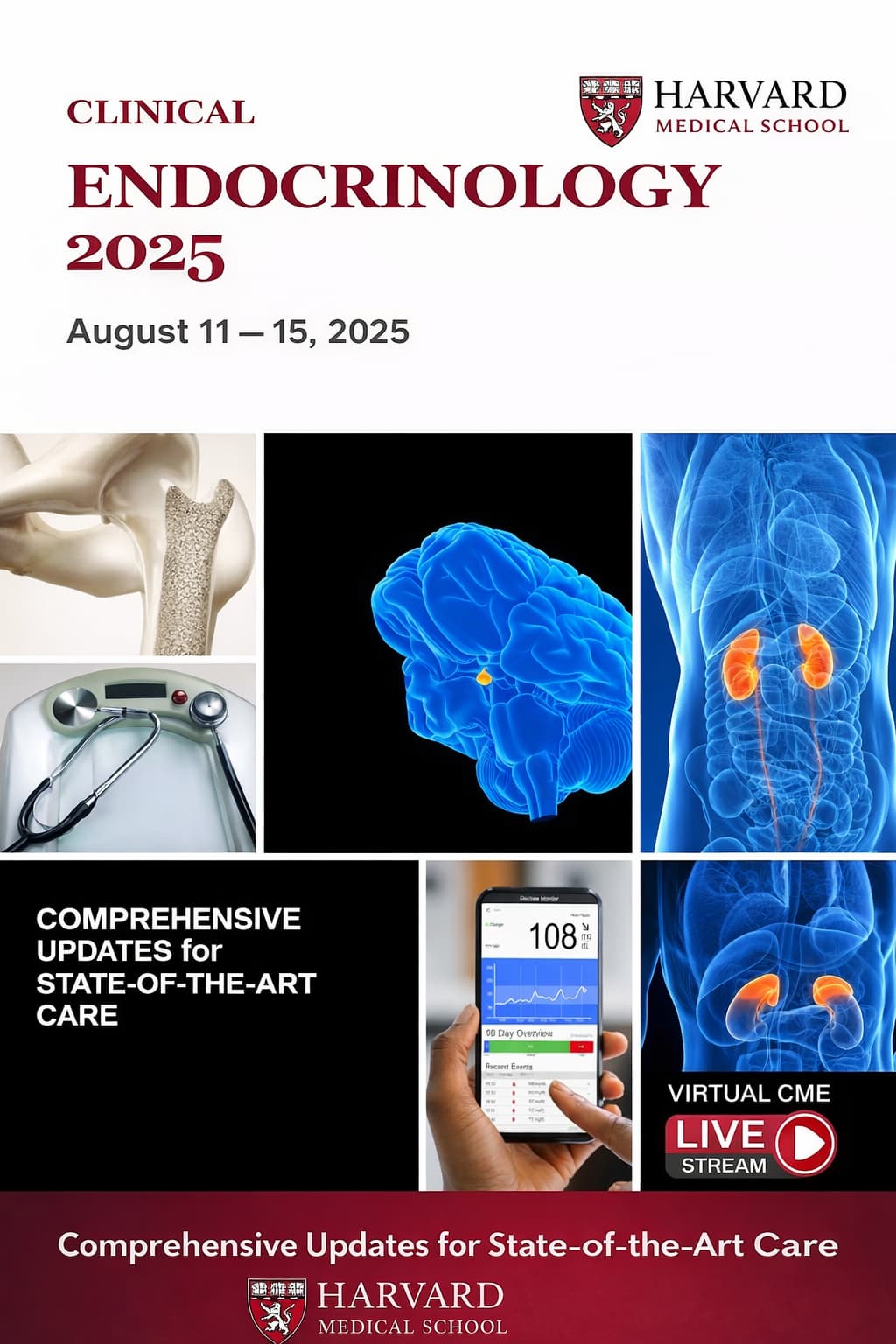 Nội tiết lâm sàng Harvard 2025