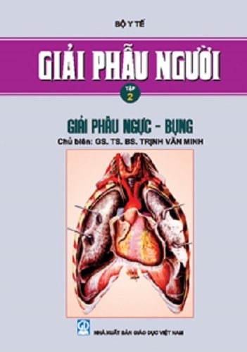 giai-phau-nguoi-tap-2