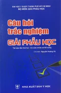 856bdaf8-1b8b-46f3-bebb-cbc457573012