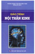 GT-Noi-Than-Kinh-Hue-scaled-1