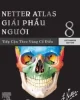 Netter-Atlas-Giai-phau-nguoi-8-Tieng-Viet-2023.jpg