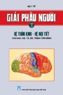 giai-phau-nguoi-tap-3