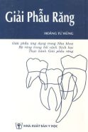 giai-phau-rang