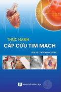 hs timm