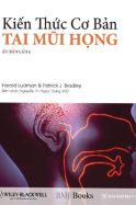 kien-thuc-co-ban-tai-mui-hong