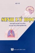 sinh-ly-hoc-bo-y-te